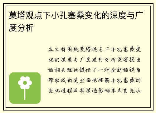莫塔观点下小孔塞桑变化的深度与广度分析
