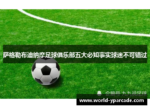 萨格勒布迪纳摩足球俱乐部五大必知事实球迷不可错过