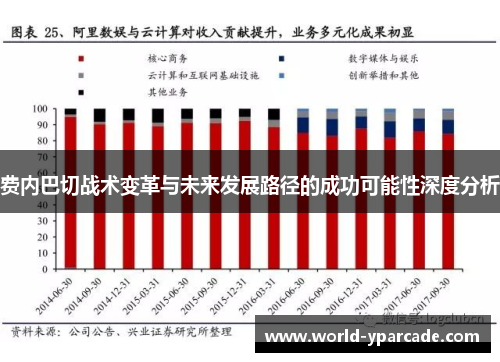 费内巴切战术变革与未来发展路径的成功可能性深度分析